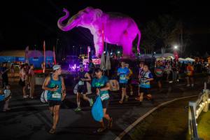 BIB: 
                            <button type="button" onclick="openModal(26552348)" class="btn btn-primary btn-sm float-right btn-popup" data-toggle="modal" data-target=".modal-high-quality">
                        <i class="fas fa-shopping-cart"></i> Add to Cart
                    </button>
                                            <button type="button" onclick="isThisMe(26552348, true)" class="btn btn-success btn-sm float-right btn-popup btn-isme hidden" data-toggle="tooltip" data-placement="bottom" title="นี่คือรูปของคุณใช่ไหม คลิกที่นี่เพื่อเอาเข้าอัลบั้ม">
                        <i class="fas fa-plus"></i> Add to album
                    </button>
                    <button type="button" onclick="isThisMe(26552348, false)" class="btn btn-warning btn-sm float-right btn-popup btn-isnotme hidden">
                        <i class="fas fa-ban"></i> Remove from album
                    </button>